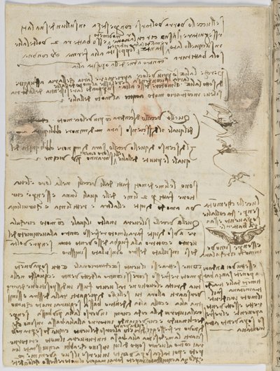 Código sobre el vuelo de los pájaros, c. 1505-06, manuscrito en papel, cc. 18, hoja 10 verso de Leonardo da Vinci